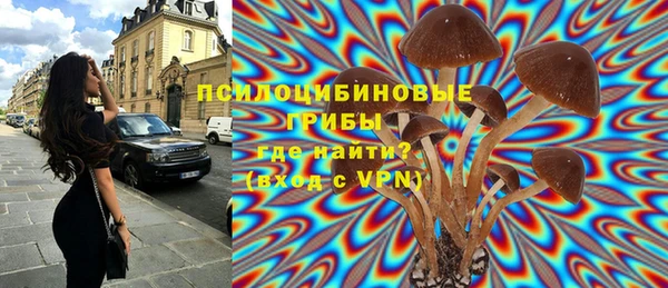 стаф Баксан