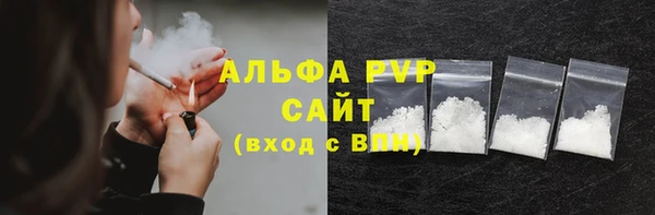 сатива Арсеньев