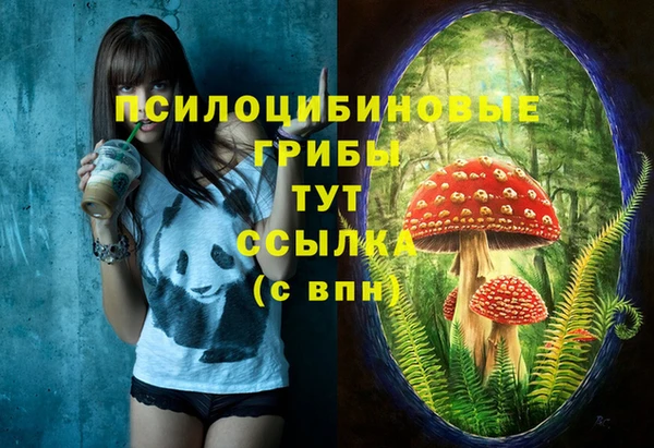 стафф Балахна