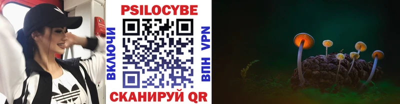 закладки  Строитель  Галлюциногенные грибы мухоморы 