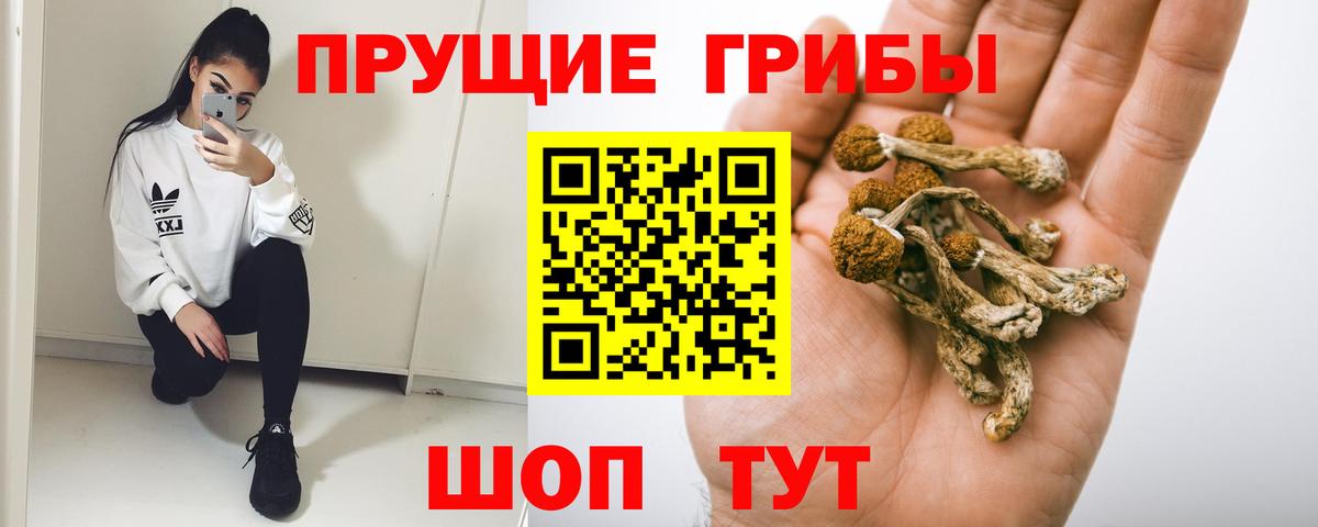 Строитель  Галлюциногенные грибы мухоморы  Галлюциногенные грибы мицелий  Вход с VPN 